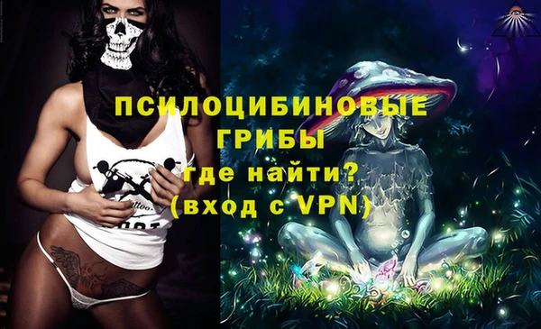 apvp Ладушкин