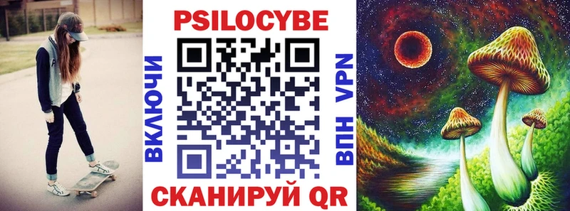 где купить   Малгобек  Псилоцибиновые грибы Psilocybine cubensis 