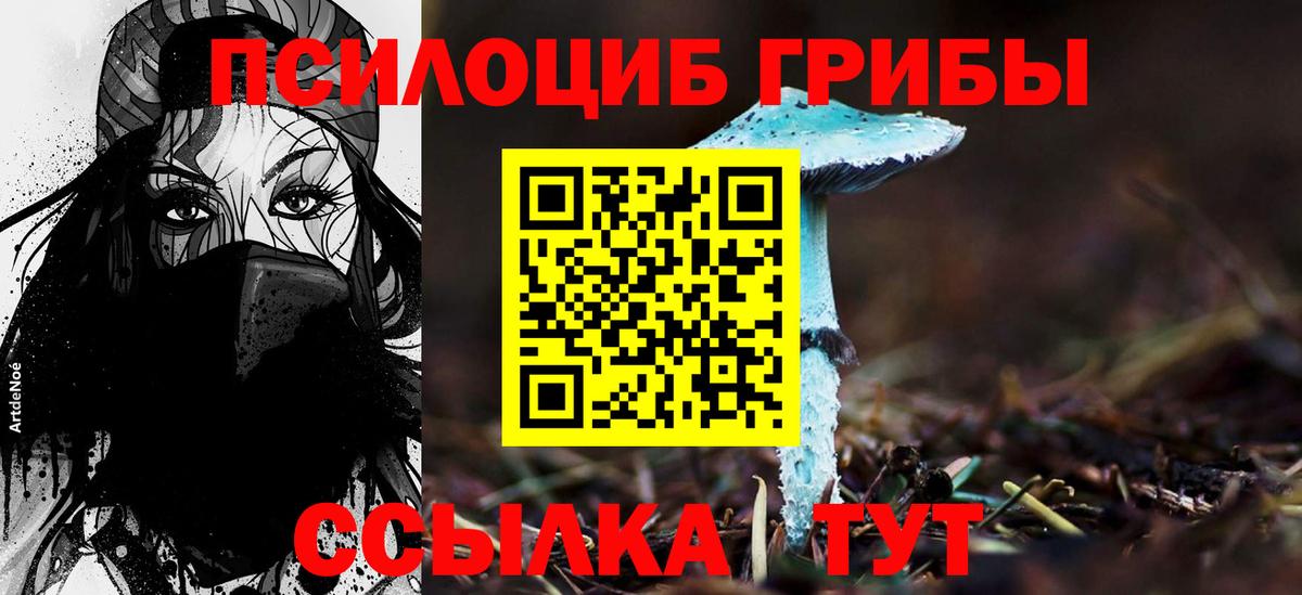 Галлюциногенные грибы GOLDEN TEACHER Малгобек