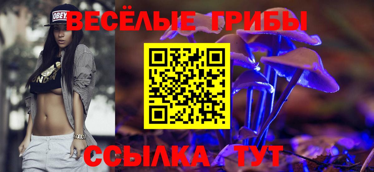 Малгобек  Галлюциногенные грибы ЛСД  Вход с VPN 
