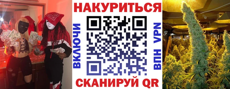 Шишки марихуана сатива  наркота  Малгобек 